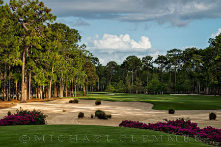 Naples National Golf Club, Number 14, Naples, Florida..
