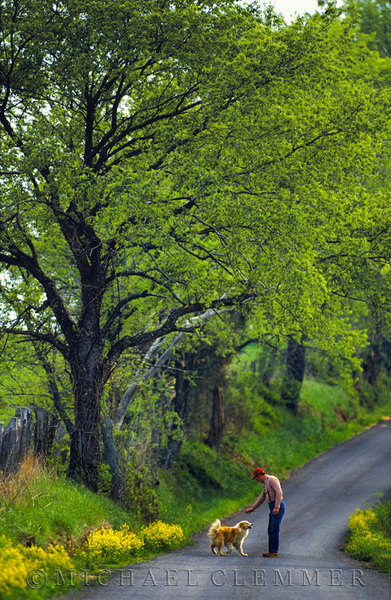 Man's Best Friend, Aurora, West Virginia